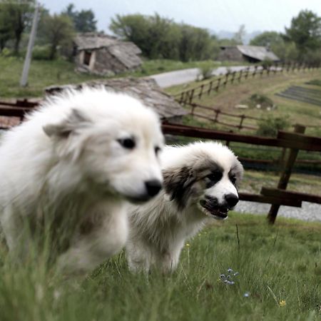 Agriturismo A Nostro Mizoun Ostana Екстер'єр фото