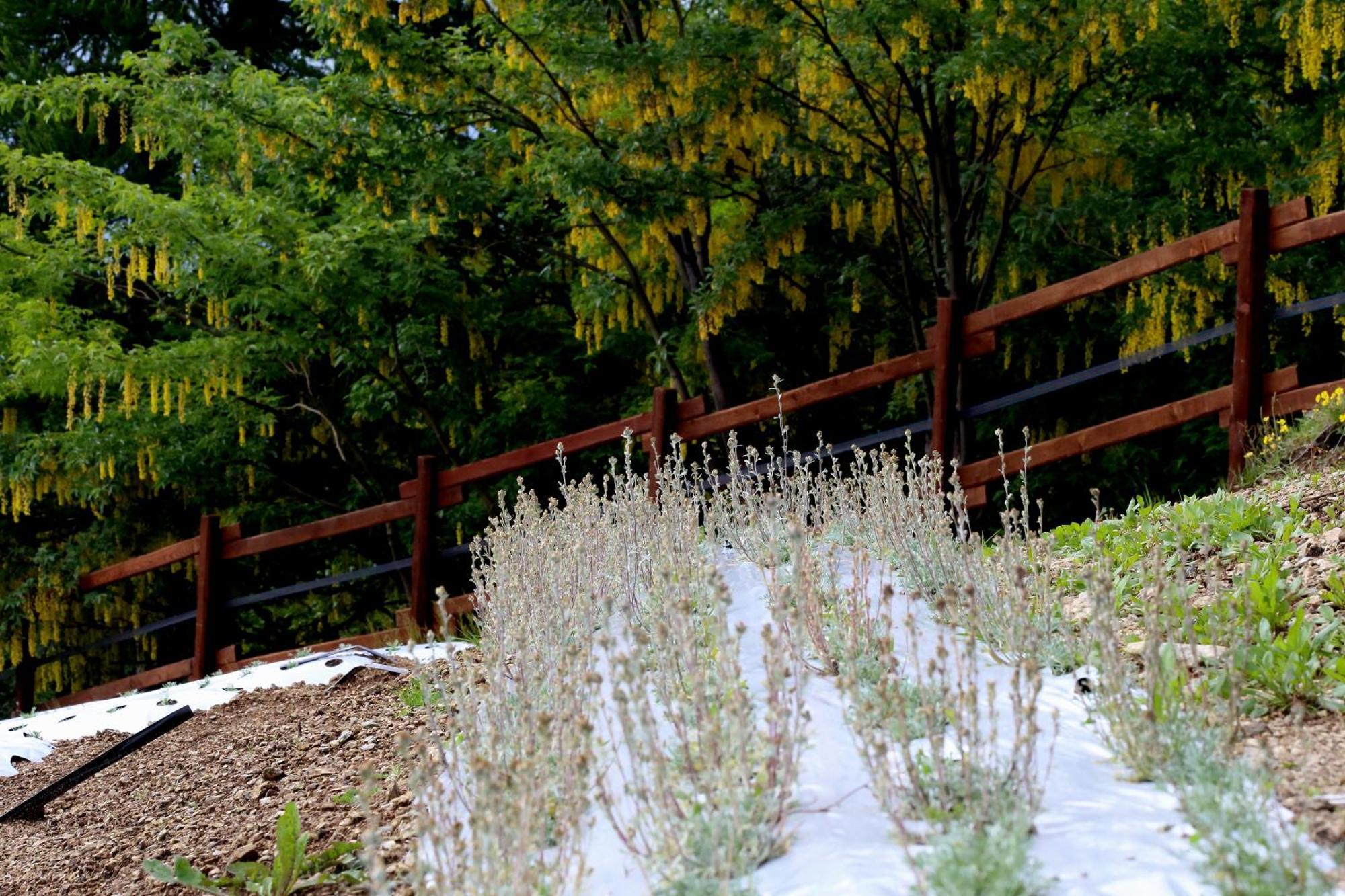 Agriturismo A Nostro Mizoun Ostana Екстер'єр фото